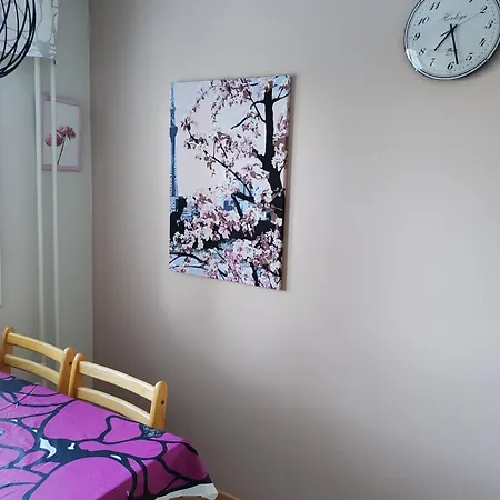 Kotoisa Kaksio Kuopion Saarijaervellae Kuopio